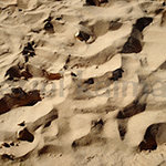 Sand-Wind